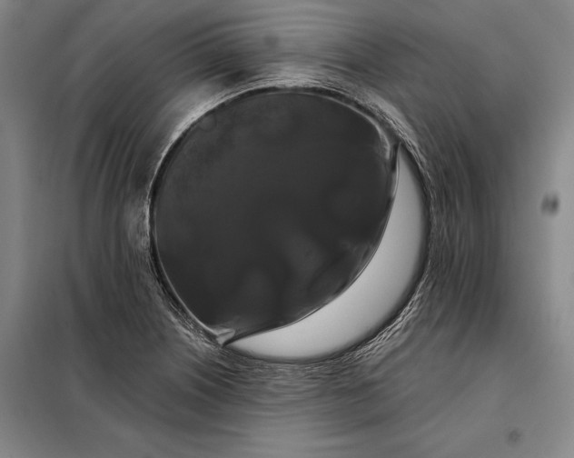 X0000098131226200805011314