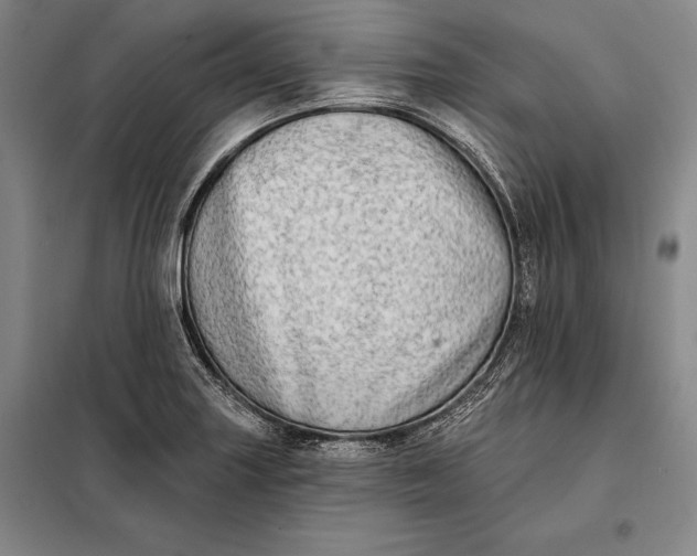 X0000098131227200805011314