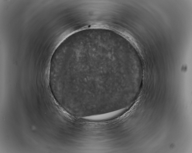 X0000098131228200805011314
