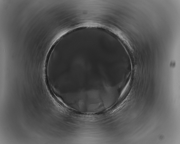 X0000098131229200805011314