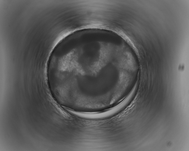 X0000098131230200805011314