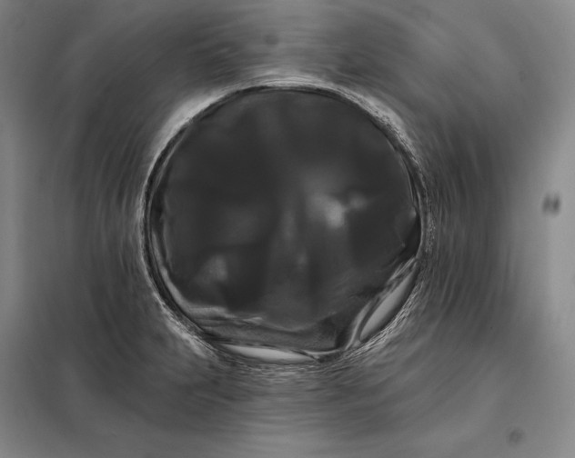 X0000098131231200805011314