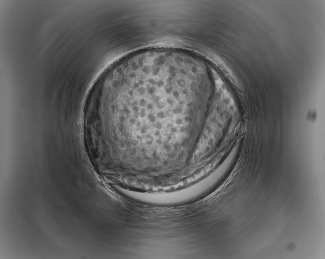 X0000098131232200805011314