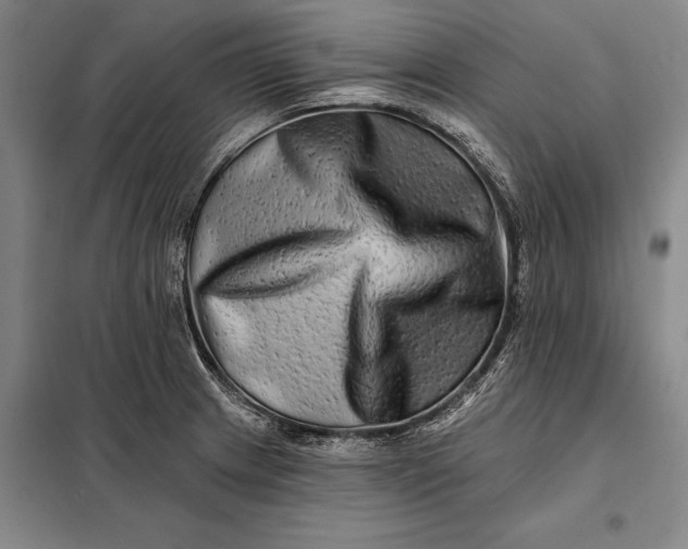 X0000098131233200805011314