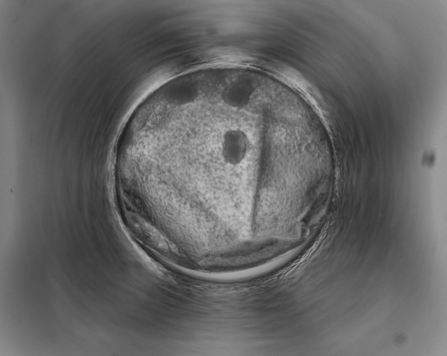 X0000098131235200805011314