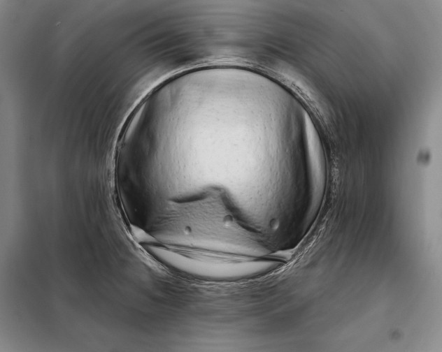 X0000098131236200805011314