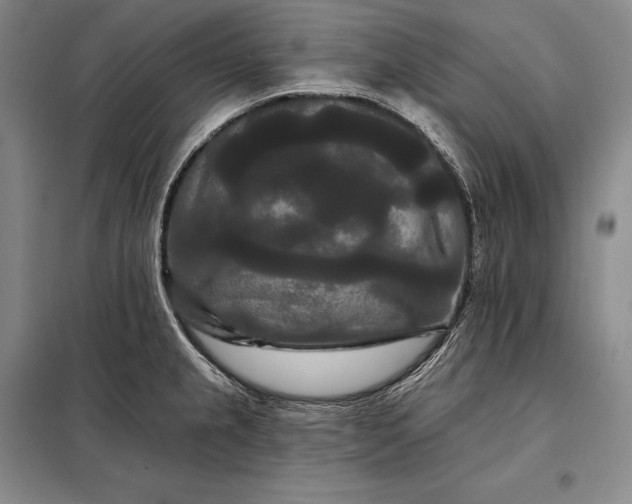 X0000098131237200805011314