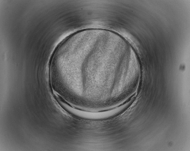 X0000098131238200805011314