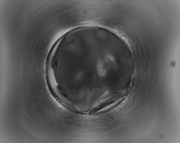 X0000098131239200805011314