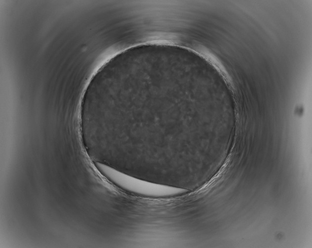X0000098131240200805011314