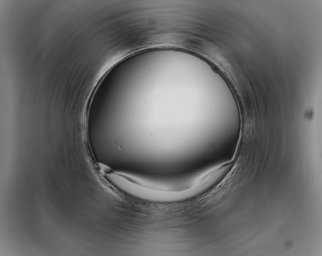 X0000098131242200805011314