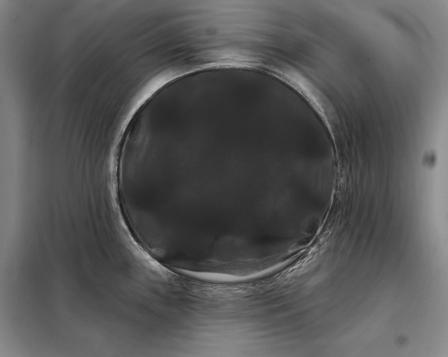 X0000098131243200805011314