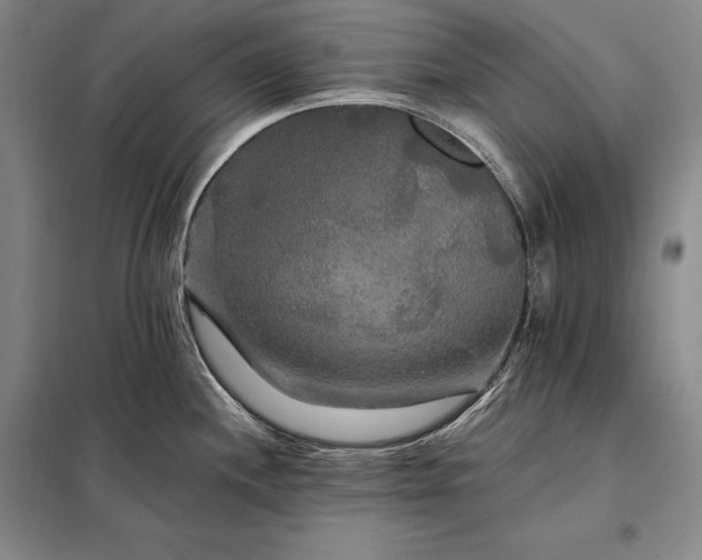 X0000098131244200805011314
