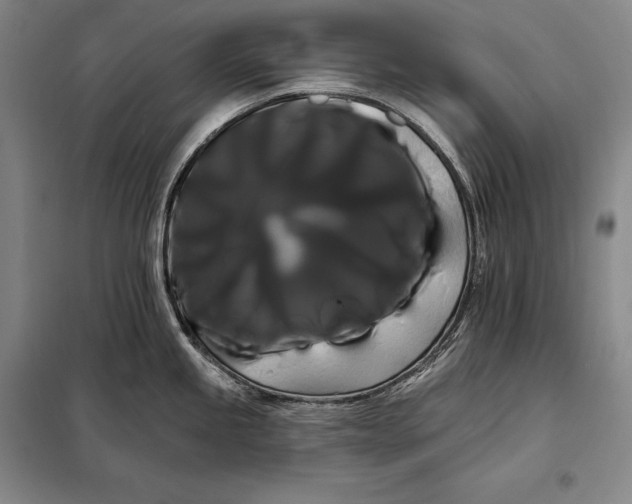 X0000098131245200805011314