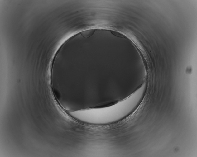 X0000098131246200805011314