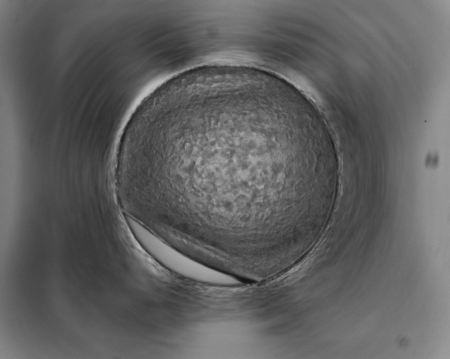 X0000098131248200805011314