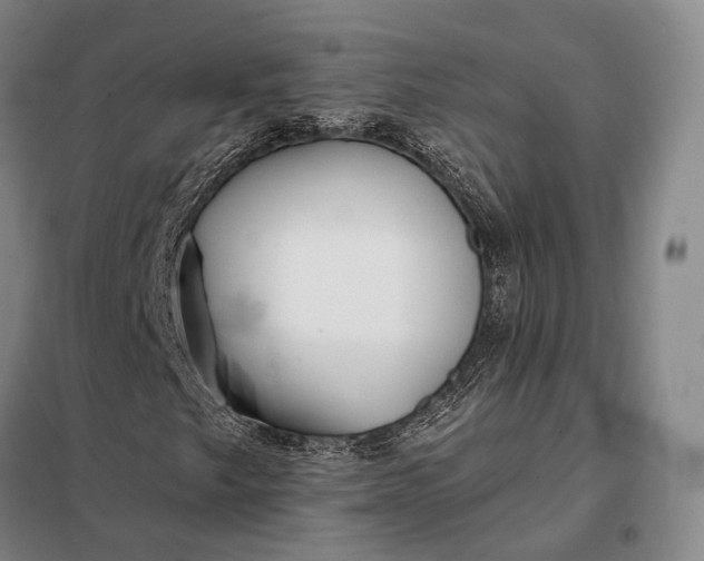 X0000098131249200805011313