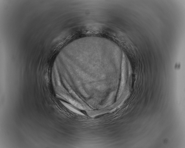 X0000098131250200805011313