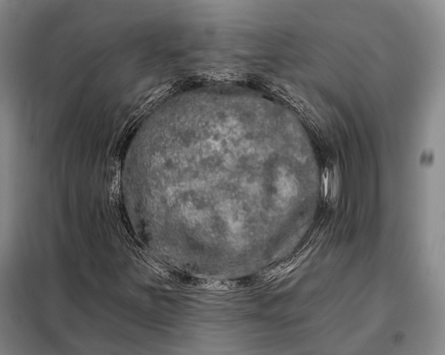 X0000098131251200805011313