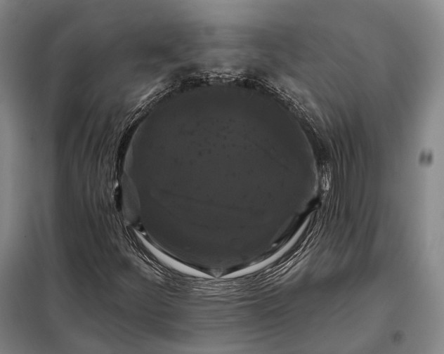 X0000098131252200805011313