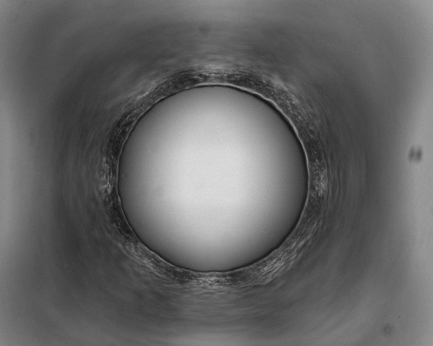 X0000098131253200805011313
