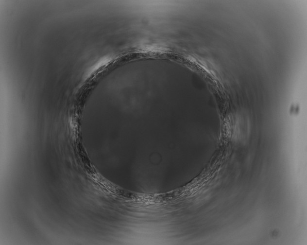 X0000098131254200805011313