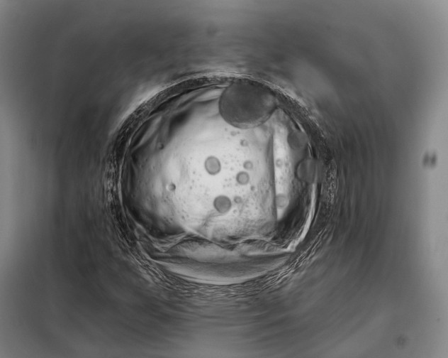 X0000098131255200805011313
