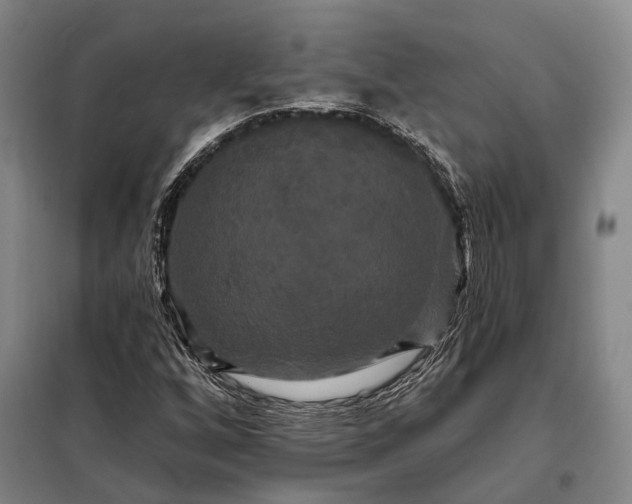 X0000098131256200805011313