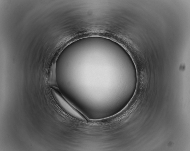 X0000098131257200805011313
