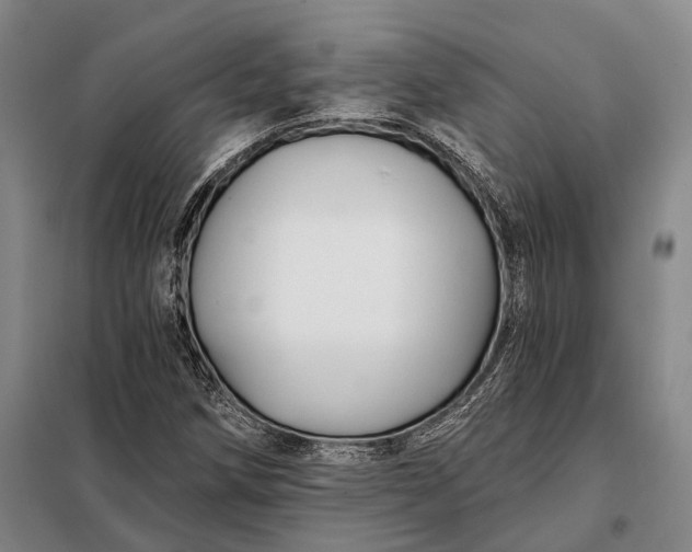 X0000098131258200805011313