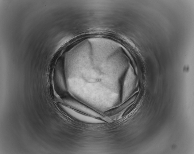 X0000098131259200805011313