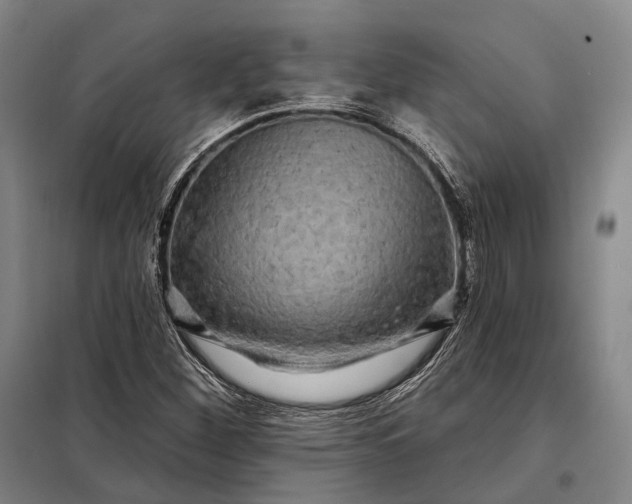 X0000098131260200805011313