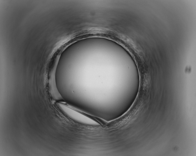 X0000098131261200805011313