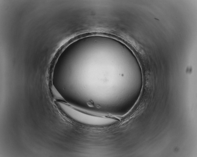 X0000098131264200805011313