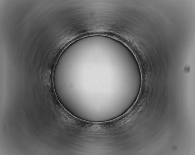 X0000098131265200805011313