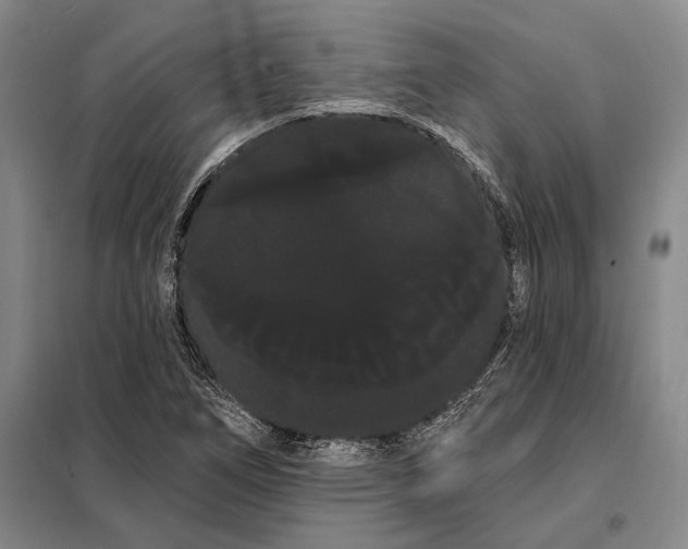 X0000098131266200805011313