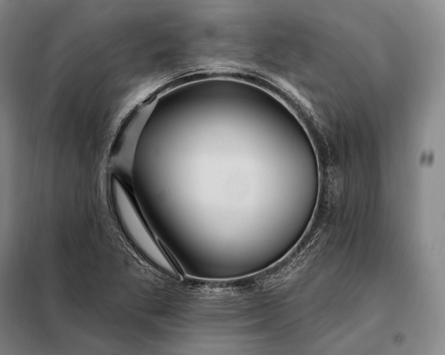 X0000098131269200805011313