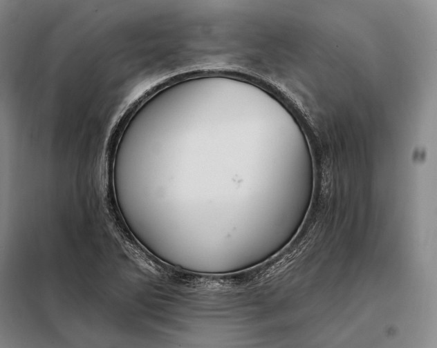 X0000098131270200805011313