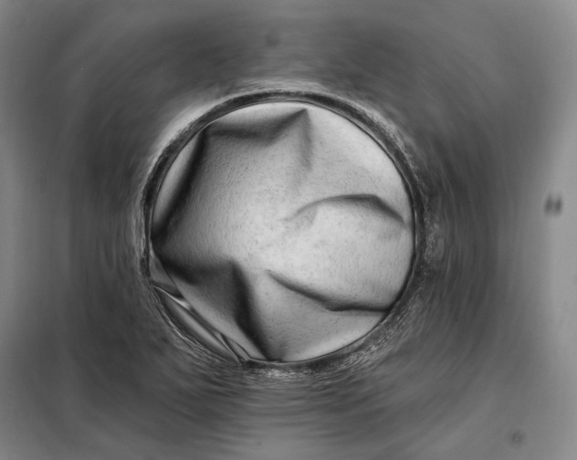 X0000098131271200805011313
