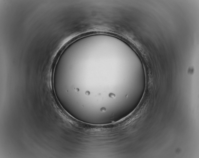 X0000098131272200805011313