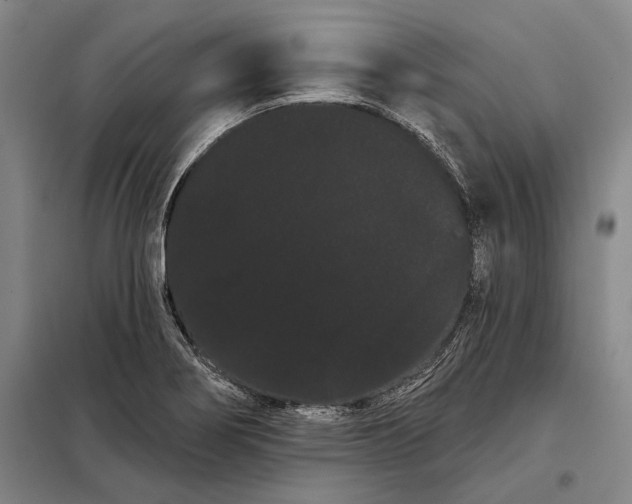 X0000098131274200805011313