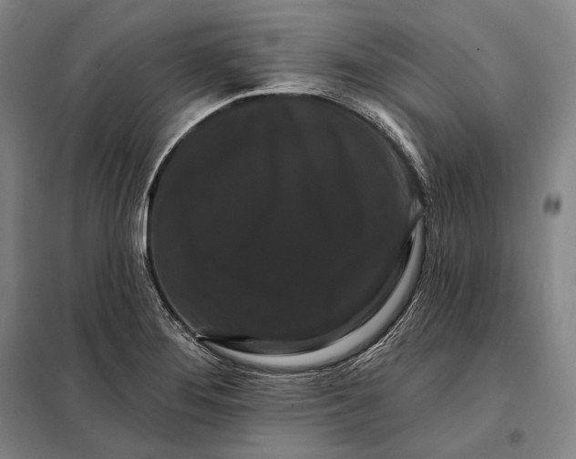 X0000098131276200805011313