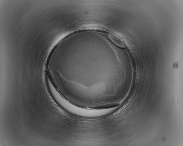 X0000098131277200805011313