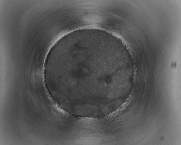 X0000098131278200805011313