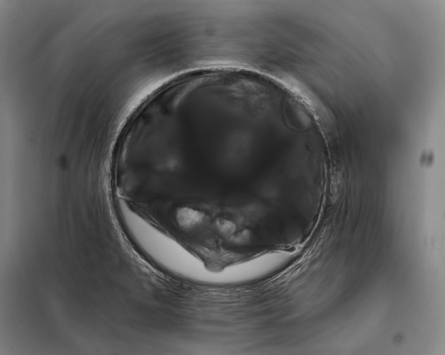 X0000098131279200805011313