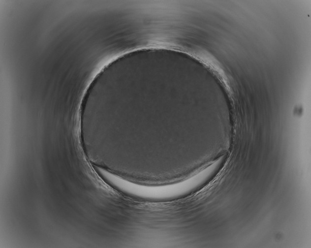 X0000098131280200805011313
