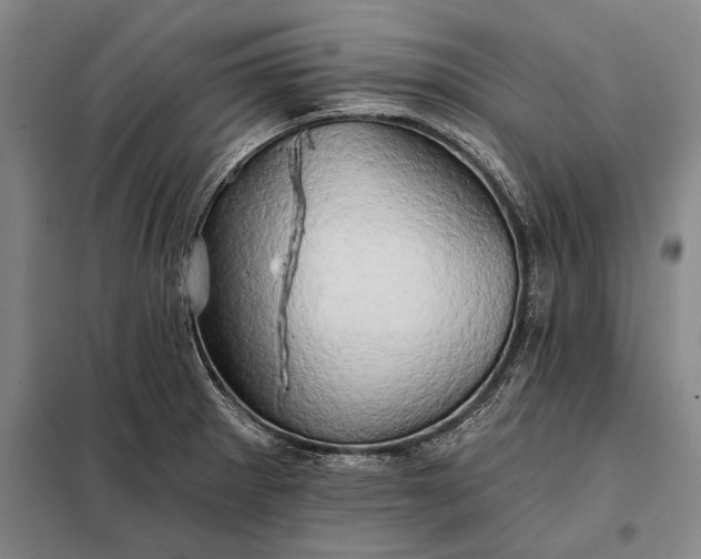 X0000098131281200805011313
