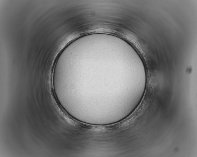 X0000098131282200805011313