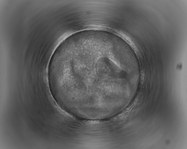 X0000098131283200805011313
