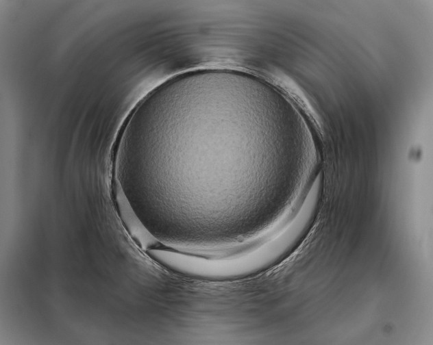 X0000098131284200805011313